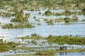 Korban banjir di Mozambik menyentuh angka 40 jiwa
