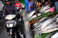 Berburu ikan bandeng Imlek di Rawa Belong