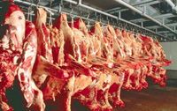 Tembus Rp100 ribu/kg, pemerintah wajib turun tangan