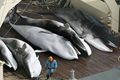 Jepang akan teruskan...