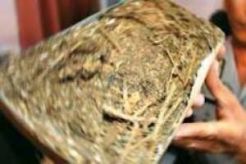 30 menit, Polsek Pasar Minggu jaring dua pengedar ganja