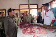 Impor tak jamin harga daging sapi turun