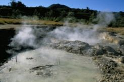Kadar belerang Kawah Timbang melebihi ambang batas