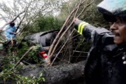 Hujan deras, pasutri tewas tertimpa pohon asem