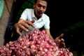 Petani Simalungun dapat bantuan 1 ton bibit bawang