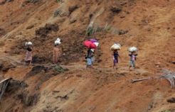 Tebing 50 meter longsor, jalur Banjarnegara-Pekalongan putus