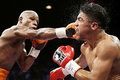 Demi rematch lawan Mayweather...