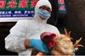 Flu burung H7N9 telah merambah ke China tengah