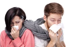 Awas, pancaroba picu DBD dan Influenza
