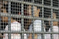 Korut tuduh Korsel cuci otak 9 pengungsi yang dipulangkan