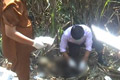 Cari lauk ikan, Gowang tewas kesetrum