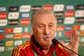 Del Bosque girang punya banyak stok lini depan