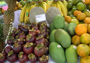 Ini tantangan merubah mindset petani buah