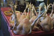 Omzet pedagang ayam potong anjlok 40%