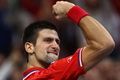 Berdych gagal hentikan keperkasaan Djokovic