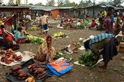 Susah akses pasar sebabkan Papua makin tertinggal