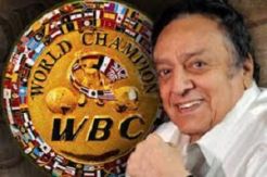 Dunia tinju Indonesia...