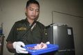 Awas, daging sapi campur babi beredar di Kulonprogo