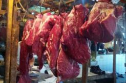 Polda Sumut bongkar penyelundupan 40 ton daging impor