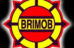 Serang Sabhara, 10 anggota Brimob diperiksa