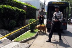 2 anjing diterjunkan, satu orang diamankan polisi
