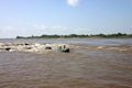 Sungai meluap, 19 ribu warga Rusia dievakuasi