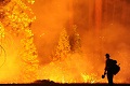 Kebakaran hutan AS mengancam pasokan air di San Francisco