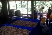 Pengusaha tahu di Padang rumahkan karyawan