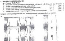 Dinkes Aceh akan evaluasi kuesioner porno