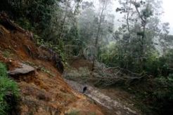Ribuan hektare hutan Gunung Lawu rawan kebakaran