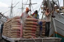 Penjualan semen di Kalimantan tumbuh 6,9%