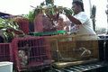 Polisi tangkap pedagang satwa langka di Muntilan