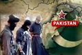 250 teroris di Pakistan...