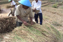 Petisi petani Indramayu raih 600 dukungan
