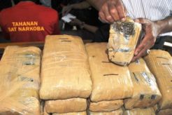 14 karung goni berisi ganja kering diamankan
