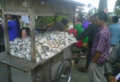 600 nasi kucing dibagikan gratis di Malioboro
