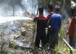 Kebun jati di Bone terbakar, warga panik