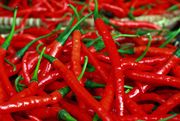 Harga cabai di Solo tembus Rp40.000 per kilogram
