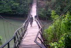 Jembatan gantung ambrol, 20 orang masuk sungai, 1 tewas