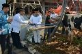 Kolinlamil kurban 8 sapi dan 14 kambing