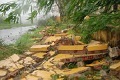 3 orang tewas setelah topan Nari menghantam Vietnam