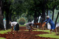 Taman tak terawat, budaya bertanam masih kurang