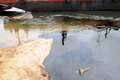 Ribuan liter BBM PLTD tumpah ke Sungai Pampang