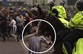 Pukul kuda polisi, fans Newcastle di bui setahun