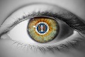 Situs ngadat, NSA bantah...