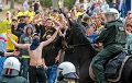 Polisi tangkap 8 fans di Derby Ruhr
