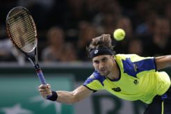Ferrer amankan tempat di final usai tekuk Nadal