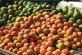 Cuaca ekstrem, produksi mangga Cirebon turun