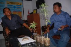 Napi Lapas Bone tanam...