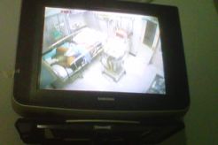 4 bulan kerja di peternakan, RH suspect flu burung